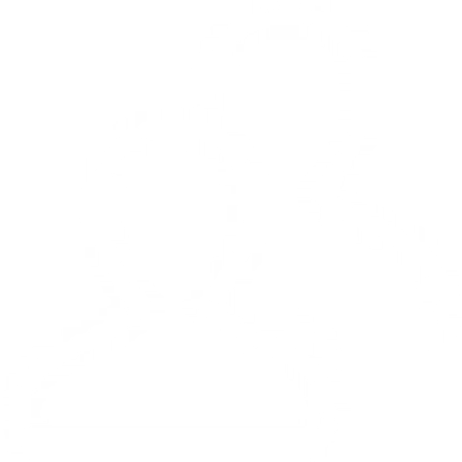 icono personalizada.png